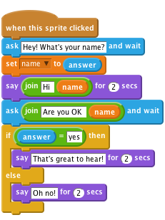     when this sprite clicked
    ask [Hey! What's your name?] and wait
    set [name v] to (answer)
    say <join [Hi ] (name)> for (2) secs
    ask <join [Are you OK ] (name)> and wait
    if ((answer)=[yes]) then
        say [That's great to hear!] for (2) secs
    else
        say [Oh no!] for (2) secs
    end