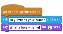     when this sprite clicked
    ask [Hey! What's your name?] and wait
    say [What a lovely name!] for (2) secs