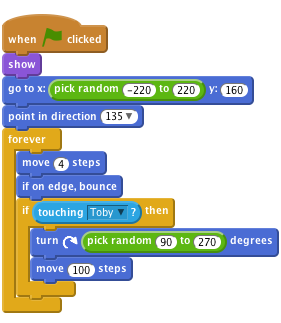     when FLAG clicked  
    show
    go to x:(pick random (-220) to (220)) y:(160)
    point in direction (135 v)
    forever
    move (4) steps
    if on edge, bounce
    if <touching [Toby v]?> then
    turn right (pick random (90) to (270)) degrees
    move (100) steps
    end
    end